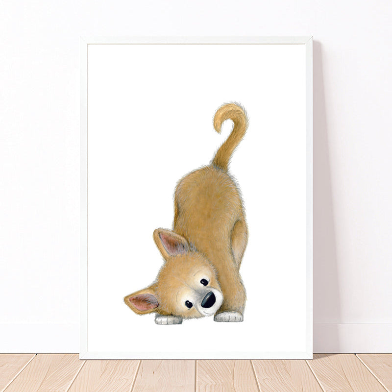 Dingo 2