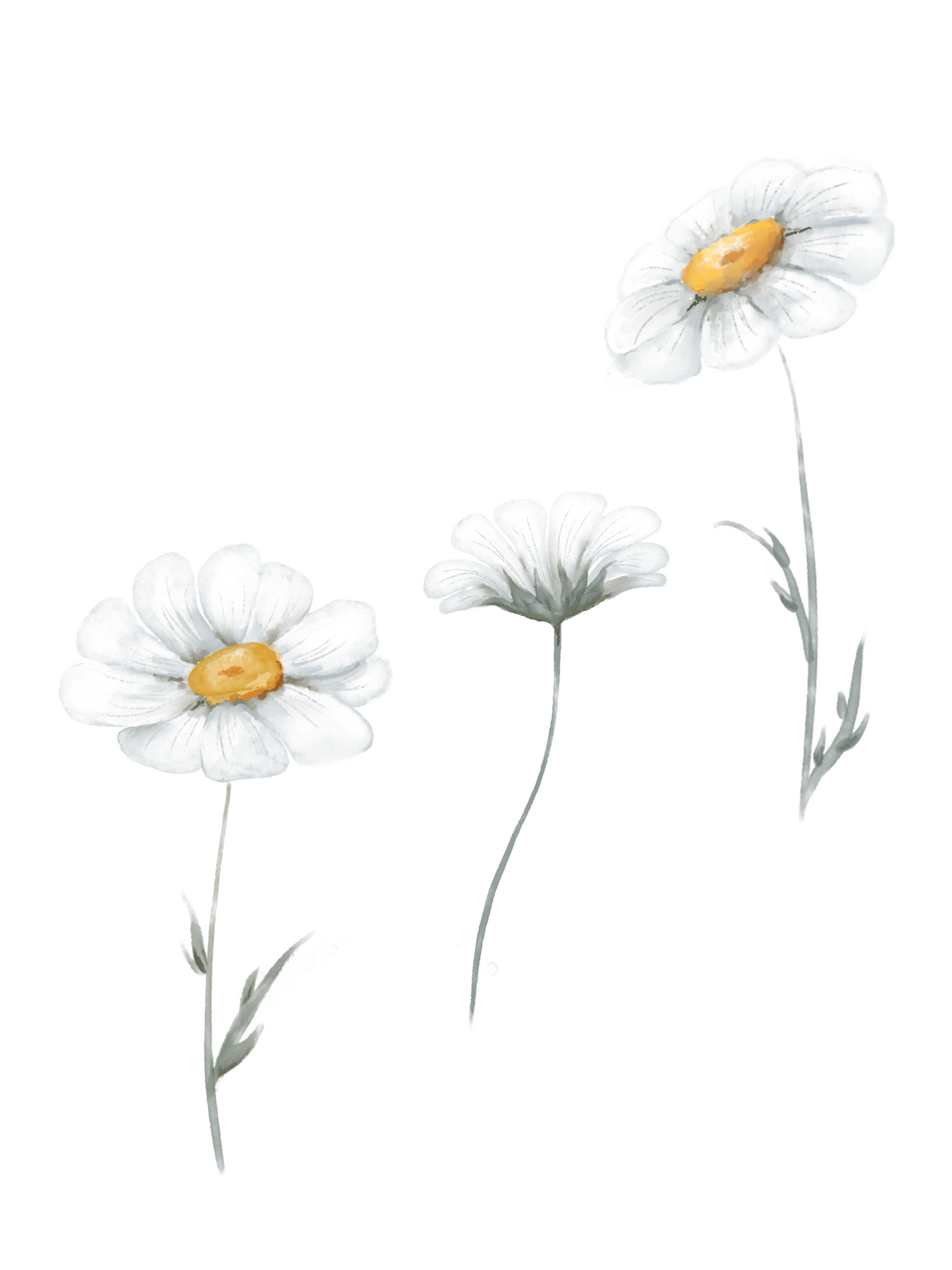 Three white daisy flowers with yellow centres on a white background. Non-toxic, eco-friendly, reusable fabric wall stickers. Australian made.