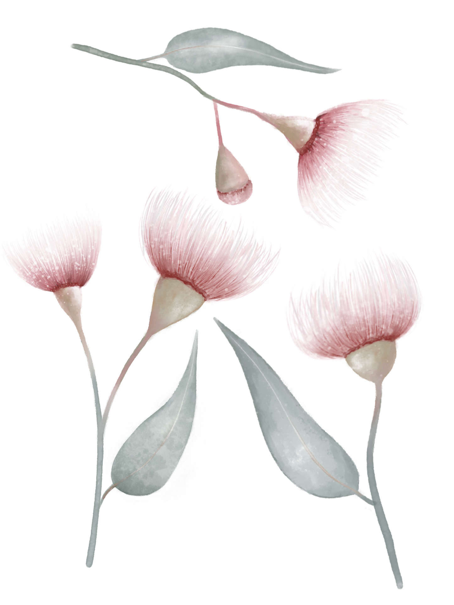 Gum Blossoms