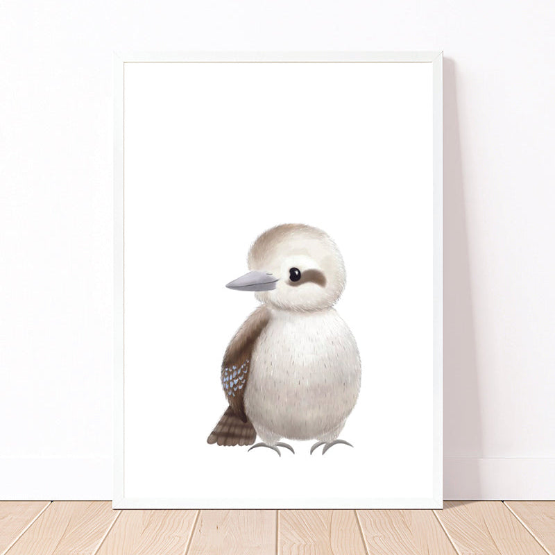 Kookaburra
