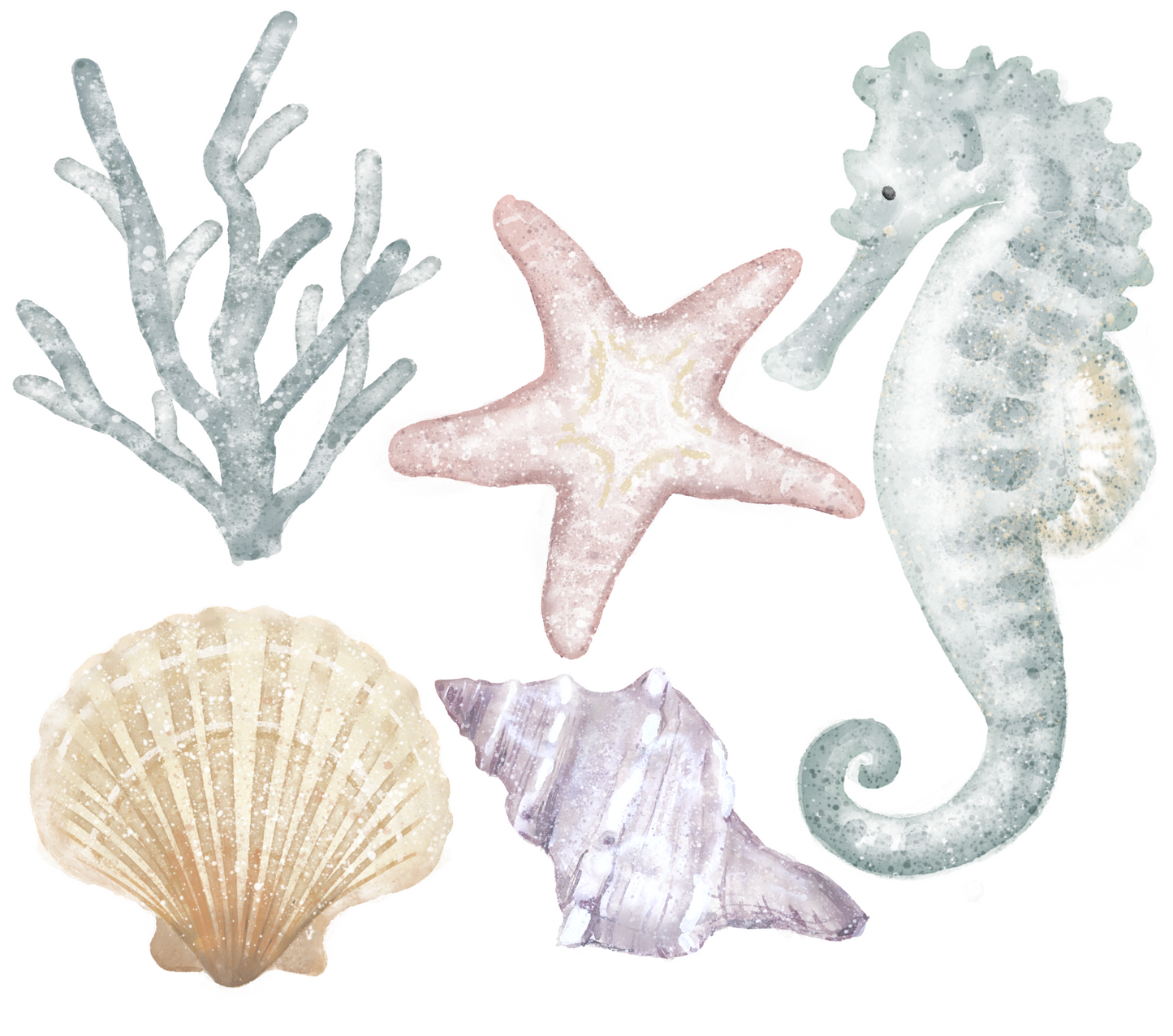 Sea Life