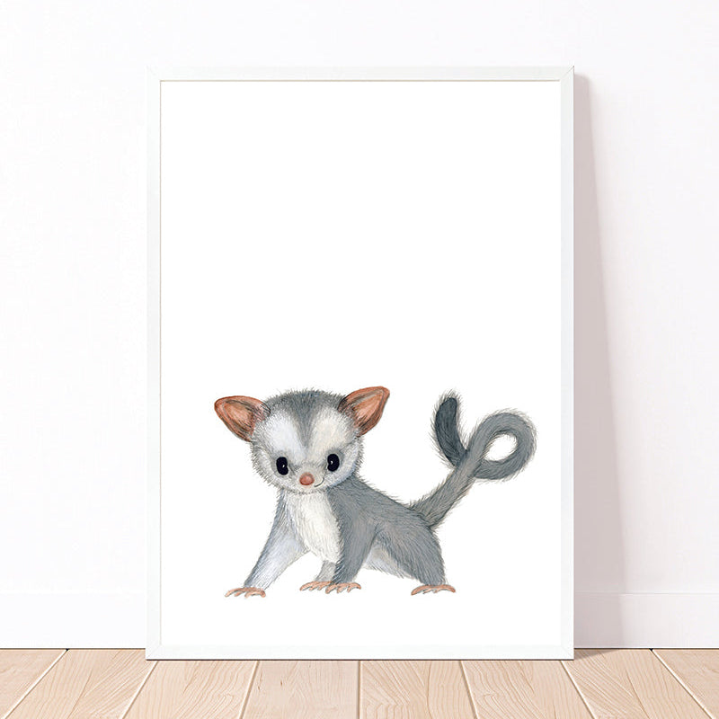 Sugar Glider