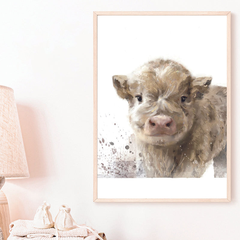 Highland Cow