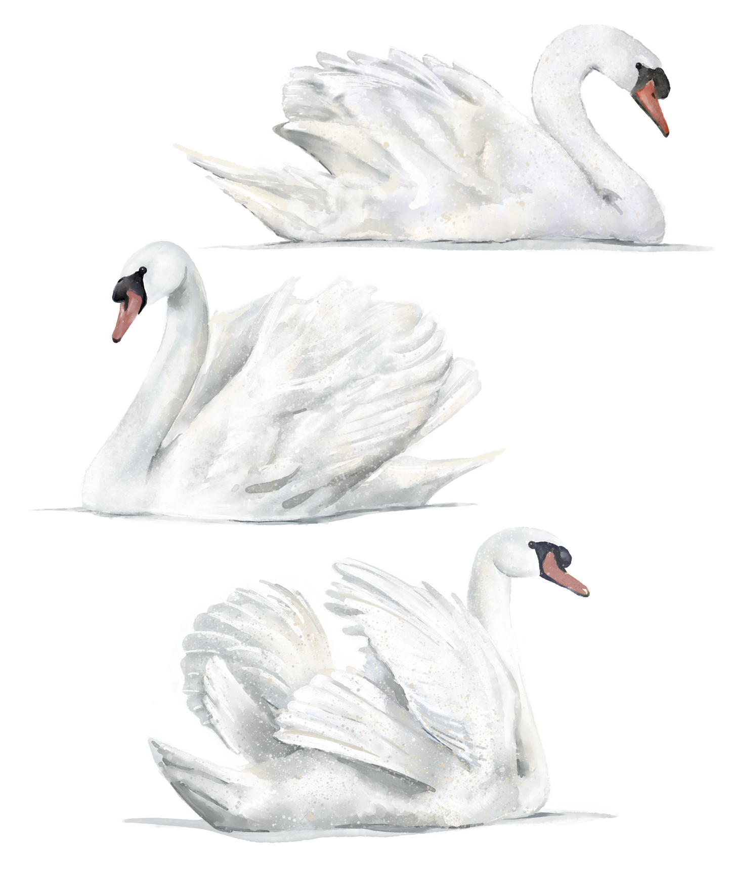 Swans (Small, Medium and Large Sets)